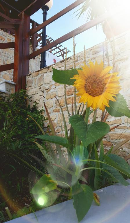 Sky Beach Hotel Agia Galini  Bagian luar foto